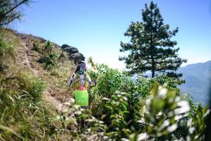 BIB: 
                            <button type="button" onclick="openModal(26608580)" class="btn btn-primary btn-sm float-right btn-popup" data-toggle="modal" data-target=".modal-high-quality">
                        <i class="fas fa-shopping-cart"></i> Add to Cart
                    </button>
                                            <button type="button" onclick="isThisMe(26608580, true)" class="btn btn-success btn-sm float-right btn-popup btn-isme hidden" data-toggle="tooltip" data-placement="bottom" title="นี่คือรูปของคุณใช่ไหม คลิกที่นี่เพื่อเอาเข้าอัลบั้ม">
                        <i class="fas fa-plus"></i> Add to album
                    </button>
                    <button type="button" onclick="isThisMe(26608580, false)" class="btn btn-warning btn-sm float-right btn-popup btn-isnotme hidden">
                        <i class="fas fa-ban"></i> Remove from album
                    </button>